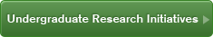 Undergraduate Research Initiatives
