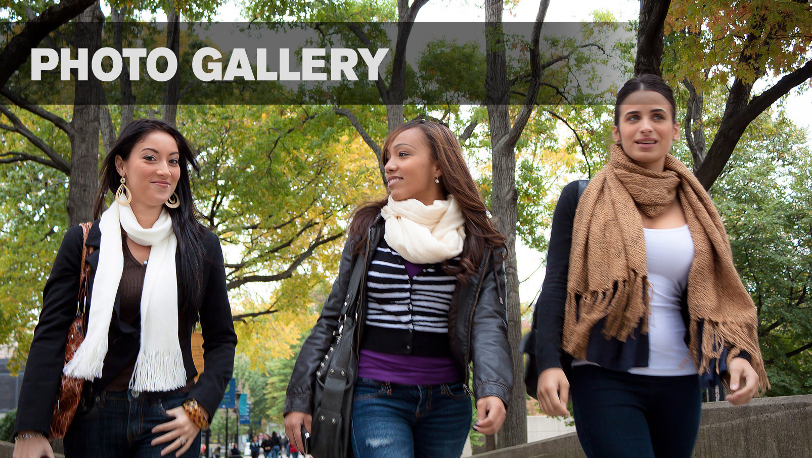 Lehman College Photo Gallery