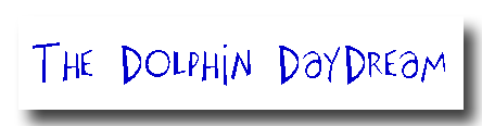 The dolphin daydream