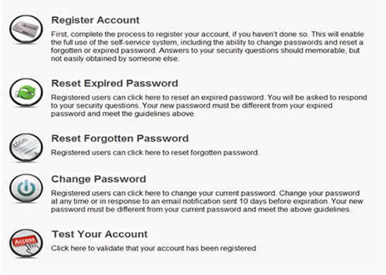 Screenshot of Password Tool