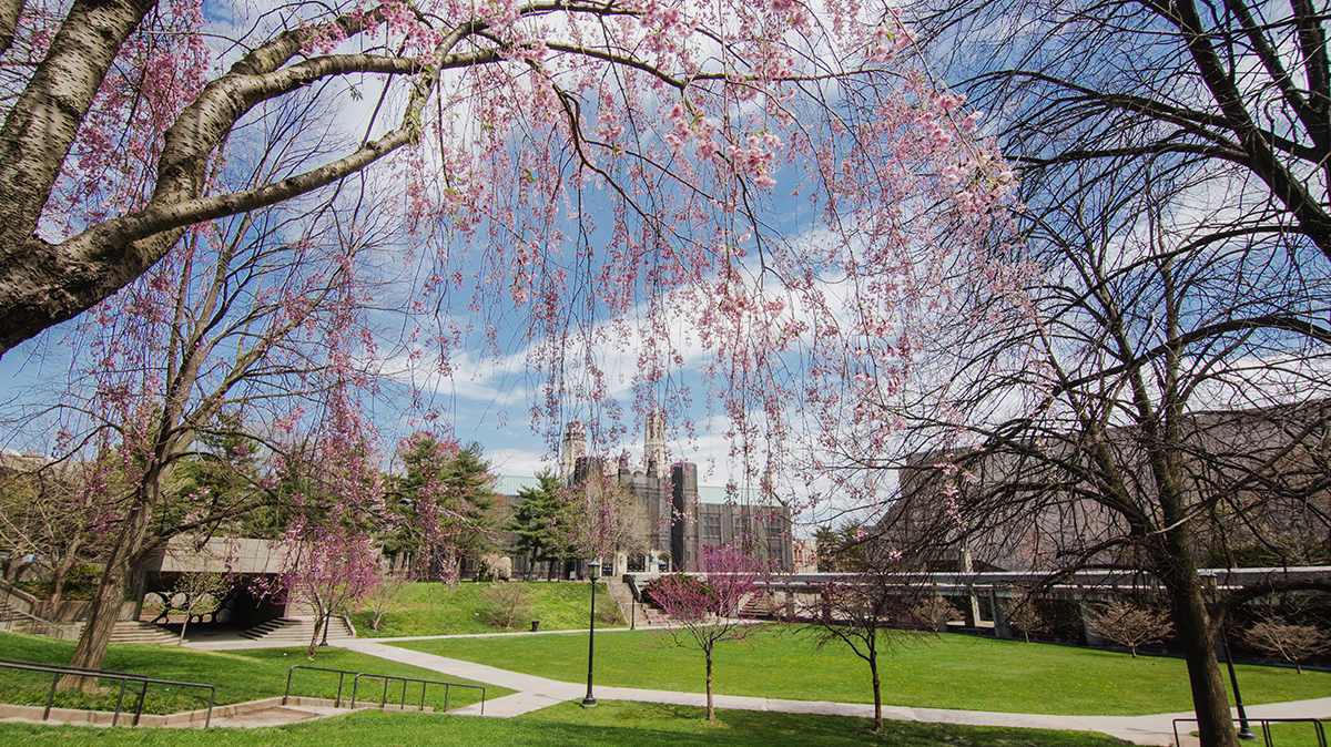 Undergraduate Admissions Brochure
