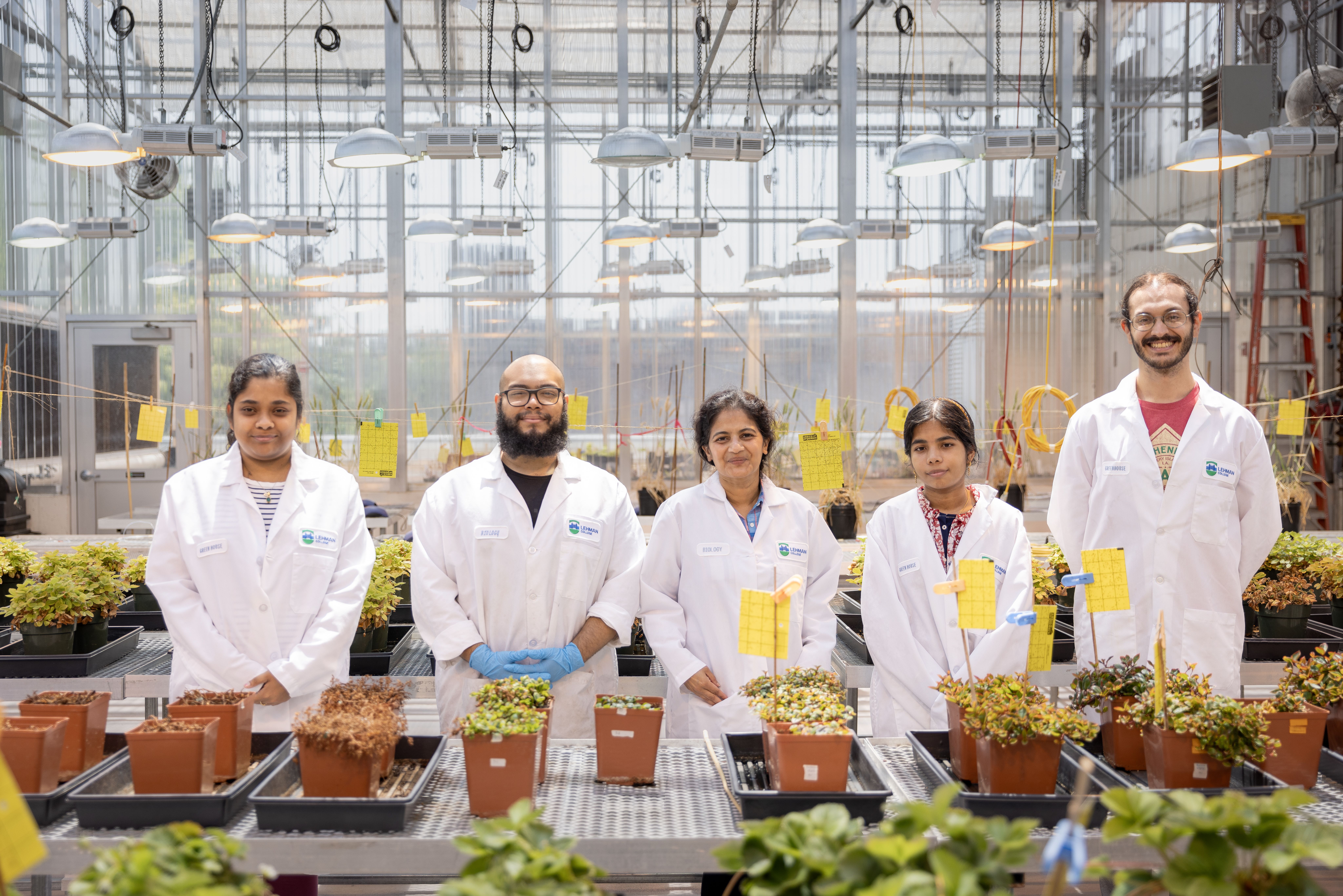 Photo of the Week: Associate Professor Renuka Sankaran (center) conducting summer research with Neha Rajkhowa, Marcos Rivera, Papia Zaman, and Sam Bischof in the Science Building greenhouse

﻿

