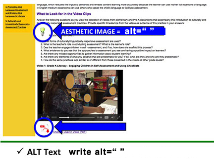Decision Making about Alt Text (Aesthetic Image or Not)