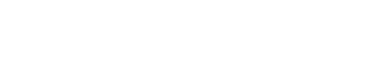 BronxInstitute Logo