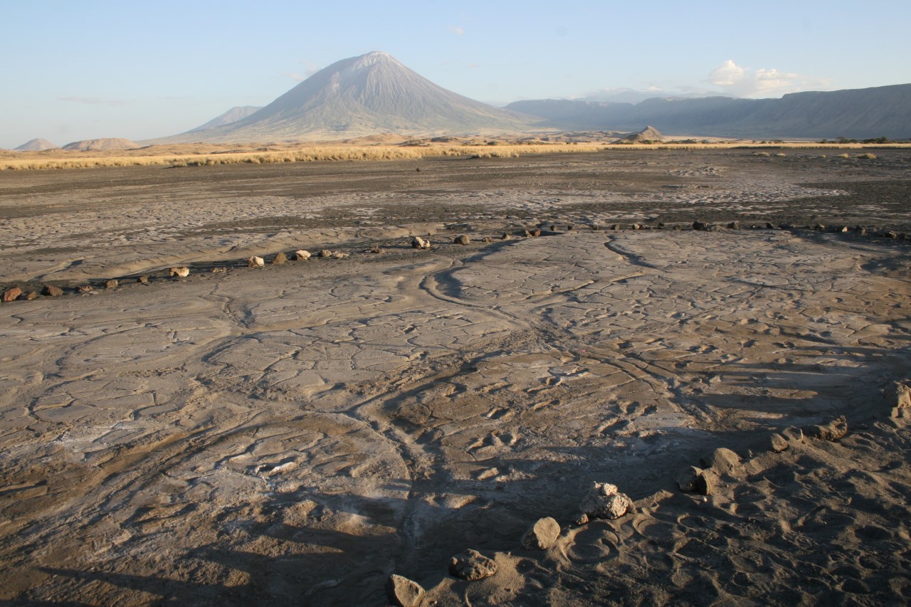 New Study of Ancient Footprint Site, Coauthored by Lehman’s Harcourt-Smith, Shows Evidence of Early Human Foraging Behavior