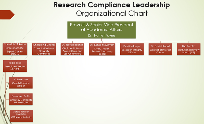 Research Compliance Leadership Organizational Chart